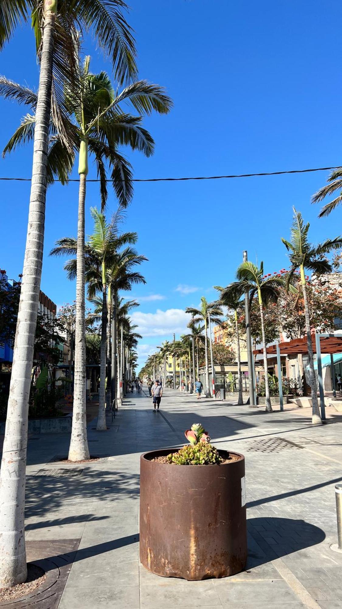 Mirame Canarias Vecindario  Ngoại thất bức ảnh