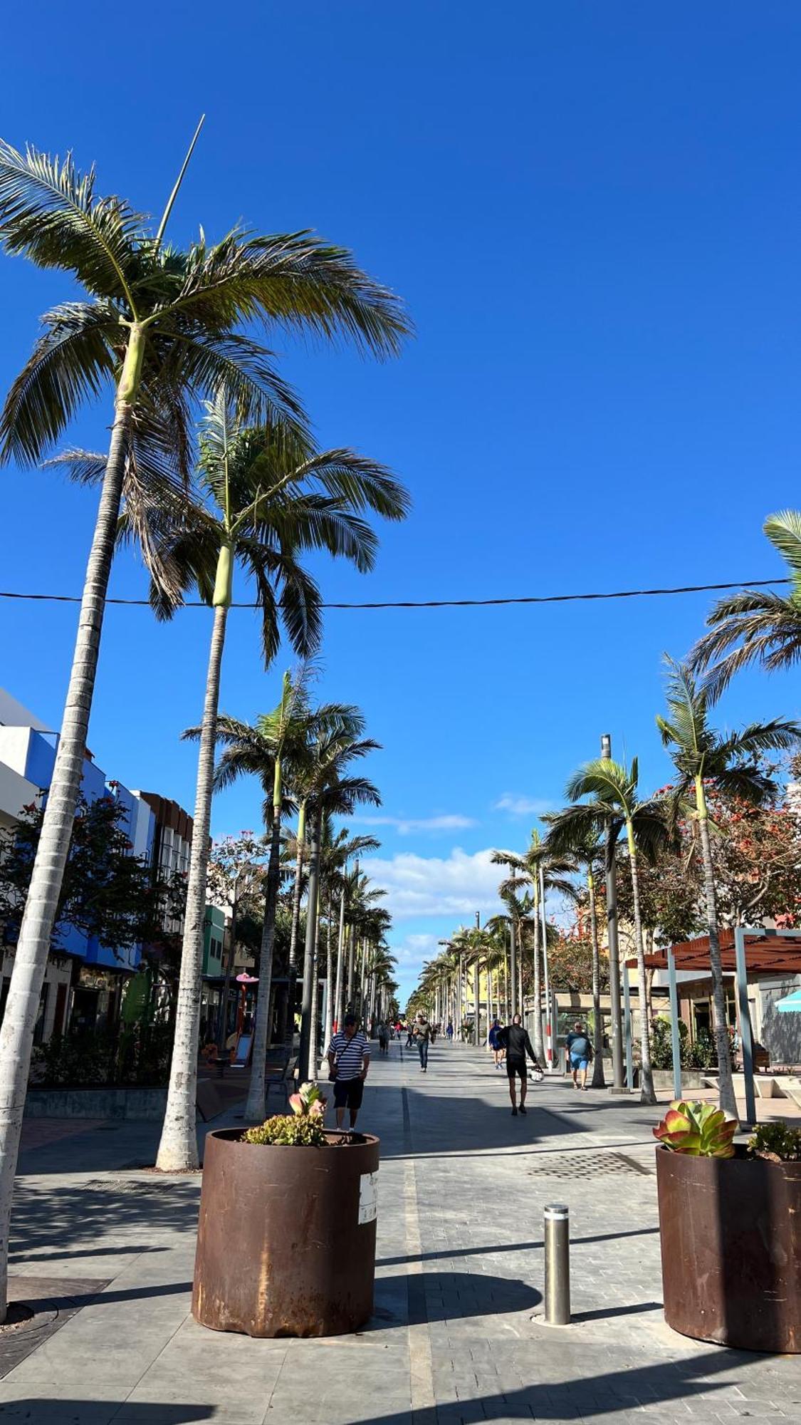Mirame Canarias Vecindario  Ngoại thất bức ảnh